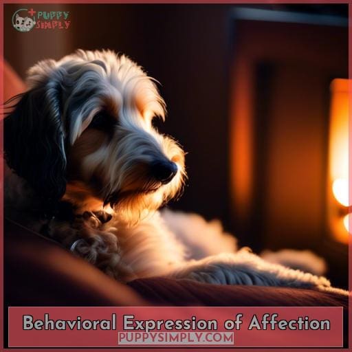 Behavioral Expression of Affection