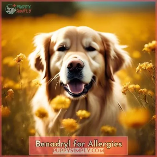Benadryl for Allergies