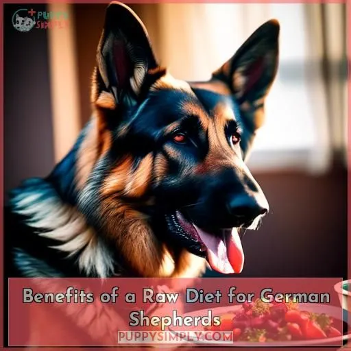 Benefits of a Raw Diet for German Shepherds