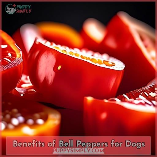 Benefits of Bell Peppers for Dogs