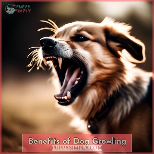 Benefits of Dog Growling