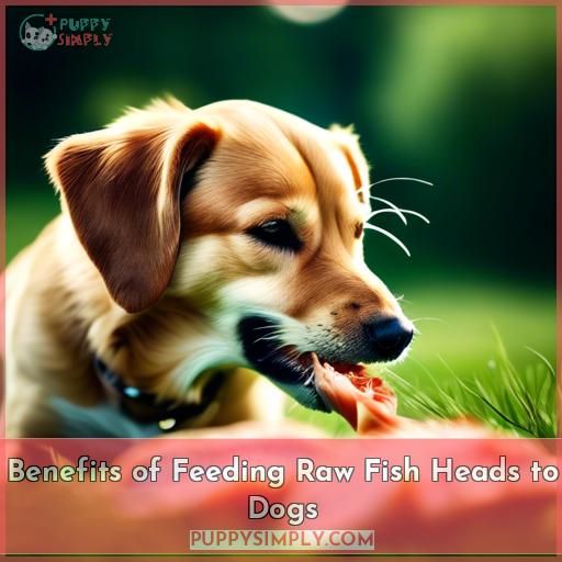 Benefits of Feeding Raw Fish Heads to Dogs
