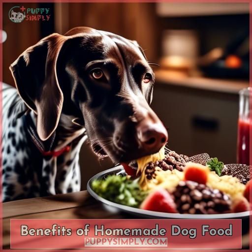 Benefits of Homemade Dog Food