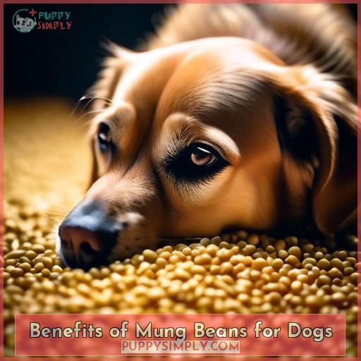 Benefits of Mung Beans for Dogs