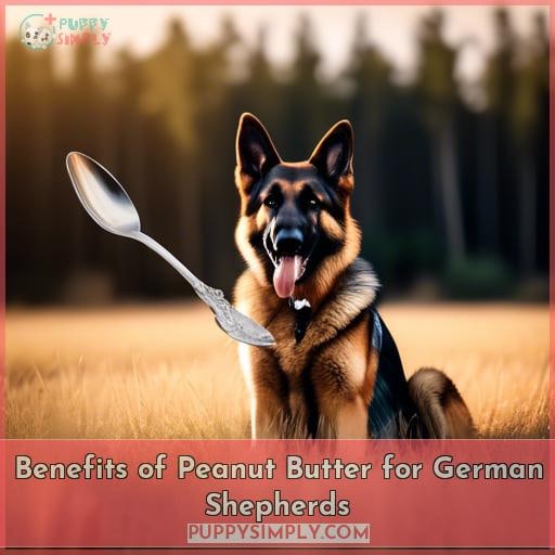 Benefits of Peanut Butter for German Shepherds