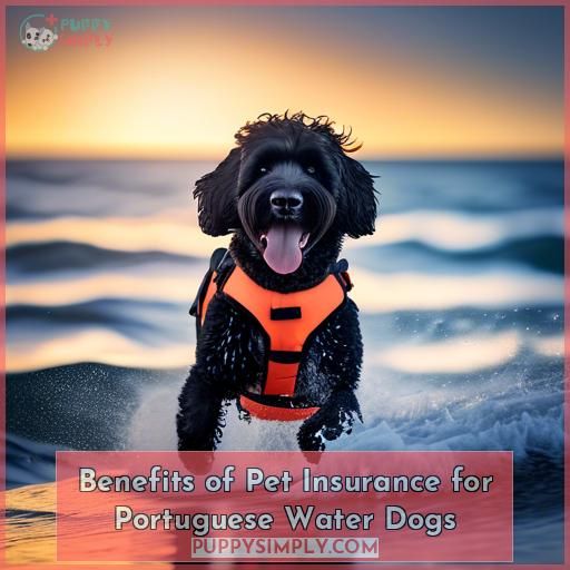 Benefits of Pet Insurance for Portuguese Water Dogs