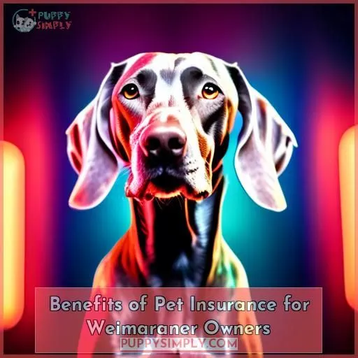 Benefits of Pet Insurance for Weimaraner Owners