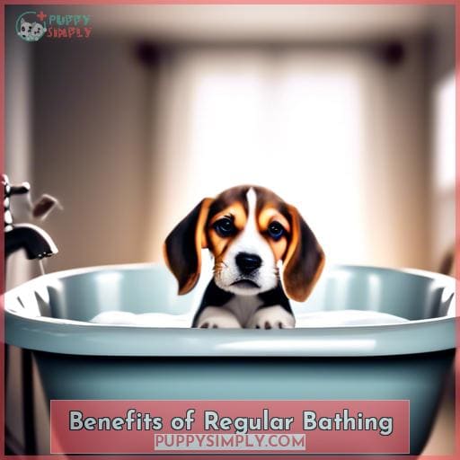 Benefits of Regular Bathing