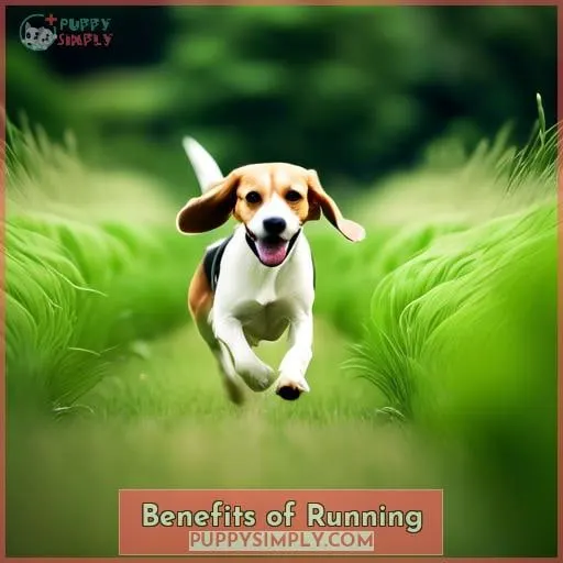 Benefits of Running