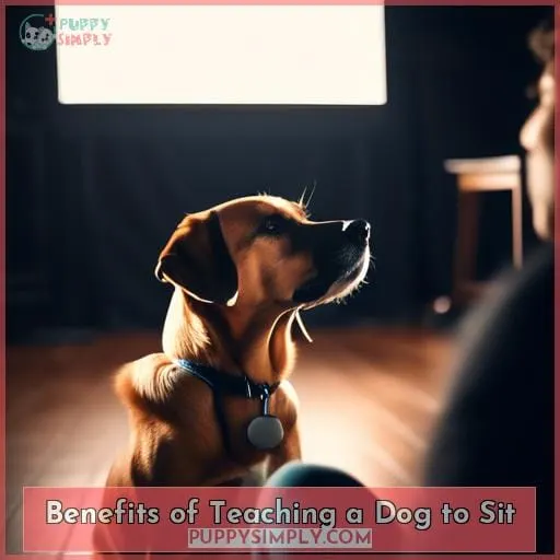 Benefits of Teaching a Dog to Sit