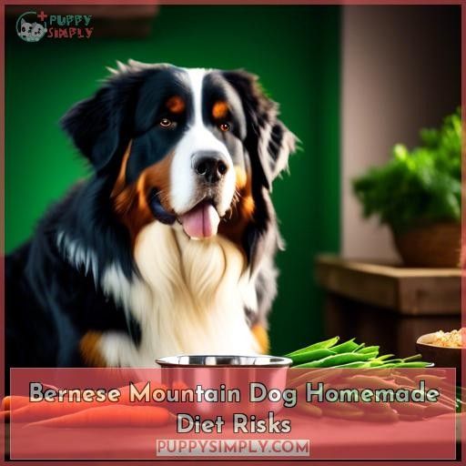 Bernese Mountain Dog Homemade Diet Risks
