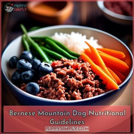 Bernese Mountain Dog Nutritional Guidelines
