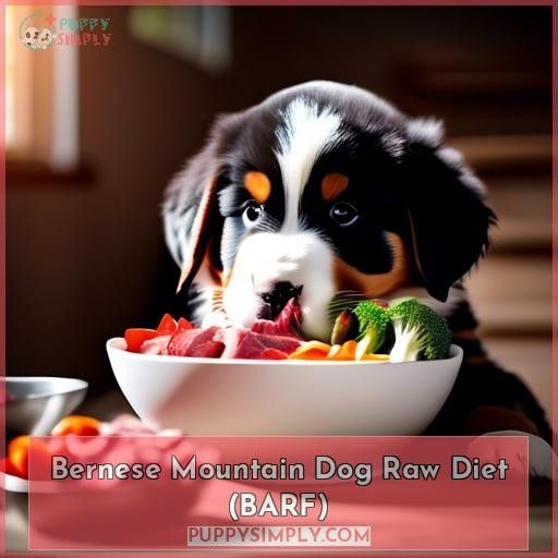 Bernese Mountain Dog Raw Diet (BARF)