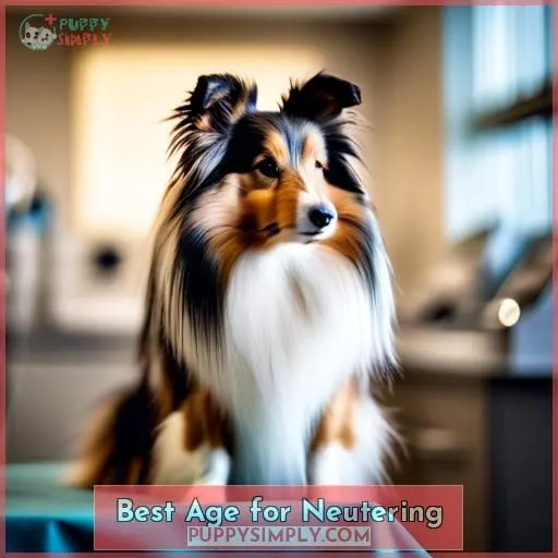 Best Age for Neutering