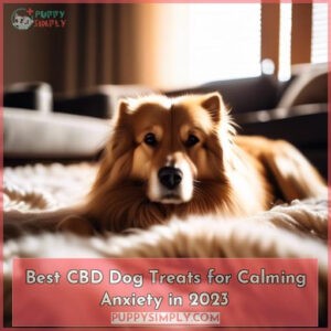 best cbd treats for dogs calming