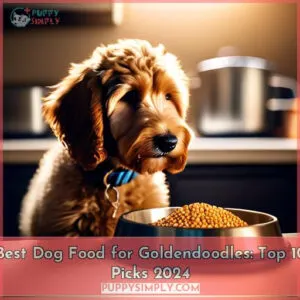 best dog food for goldendoodles