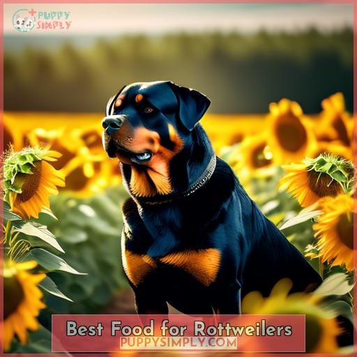 Best Food for Rottweilers
