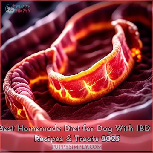 Best Homemade Diet for Dog With IBD Recipes & Treats 2023