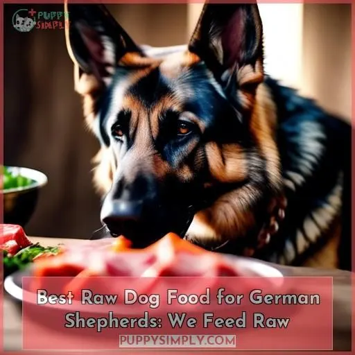 Best Raw Dog Food for German Shepherds: We Feed Raw