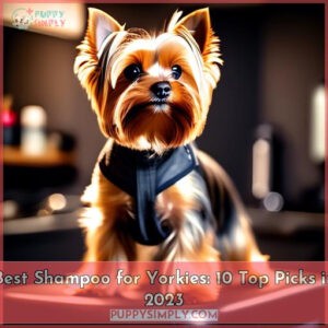 best shampoo for yorkie puppies
