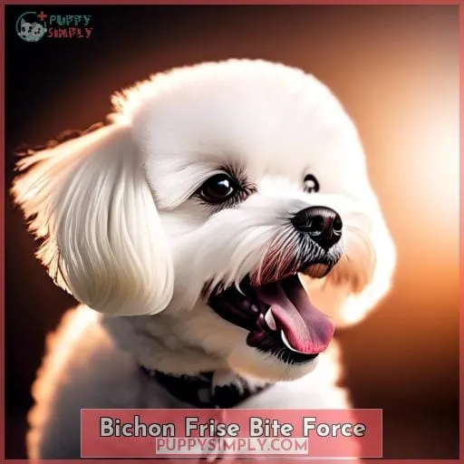Bichon Frise Bite Force
