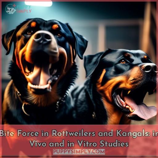 Bite Force in Rottweilers and Kangals: in Vivo and in Vitro Studies