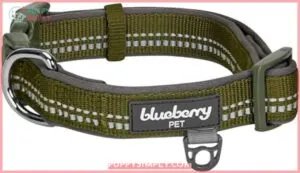 Blueberry Pet Soft & Safe