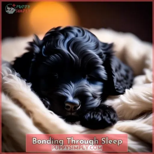Bonding Through Sleep