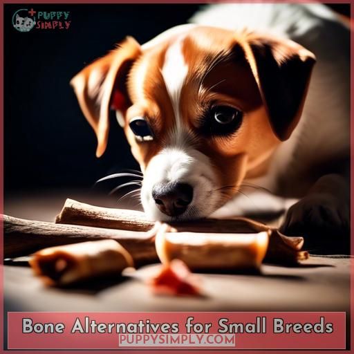Bone Alternatives for Small Breeds