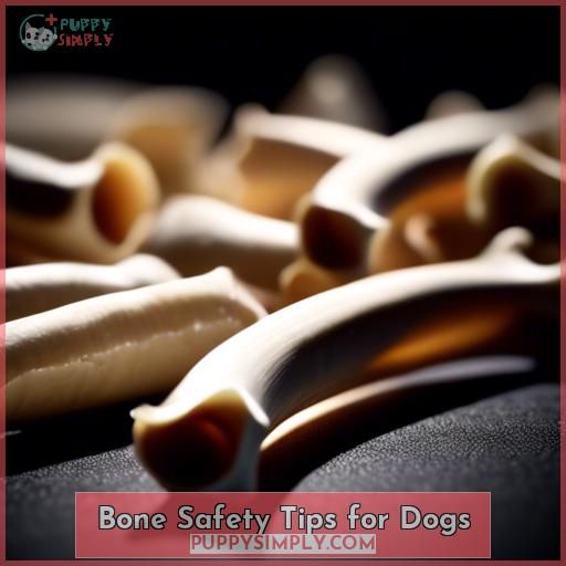 Bone Safety Tips for Dogs