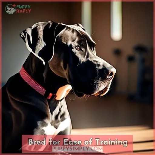 Bred for Ease of Training