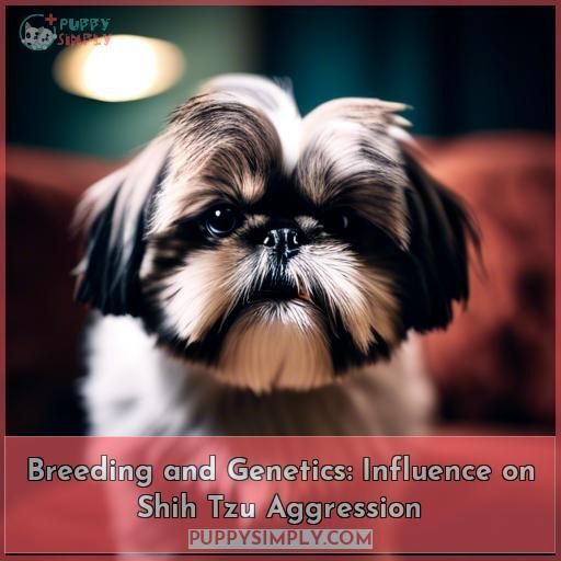 Breeding and Genetics: Influence on Shih Tzu Aggression Breeding and Genetics: Influence on Shih Tzu Aggression