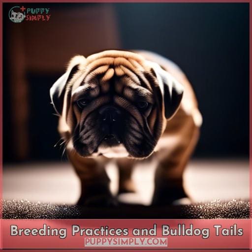 Breeding Practices and Bulldog Tails