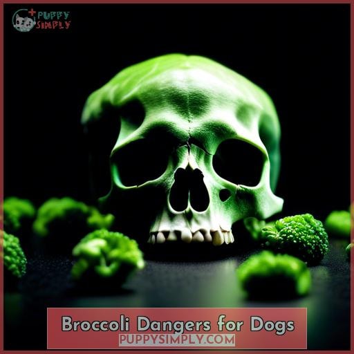Broccoli Dangers for Dogs