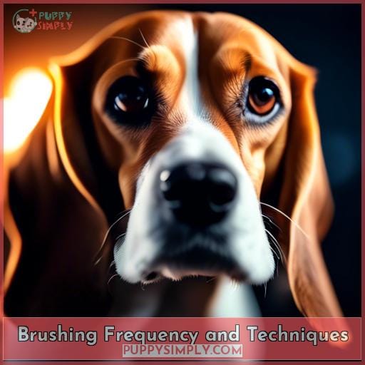 Brushing Frequency and Techniques