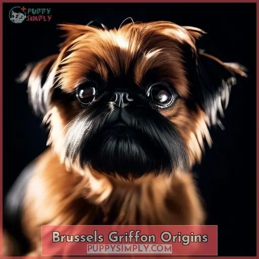 Brussels Griffon Origins