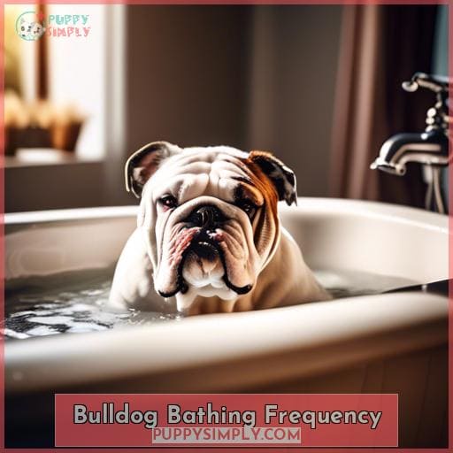Bulldog Bathing Frequency Bulldog Bathing Frequency