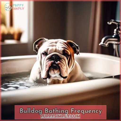 Bulldog Bathing Frequency