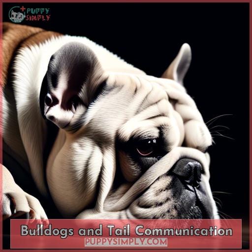 Bulldogs and Tail Communication