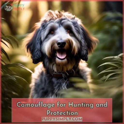 Camouflage for Hunting and Protection Camouflage for Hunting and Protection