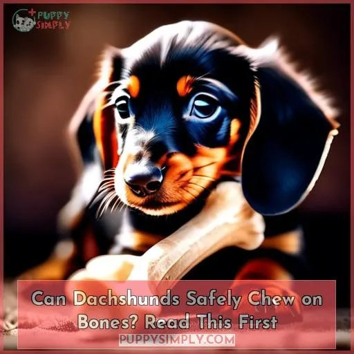 can dachshunds chew on bones