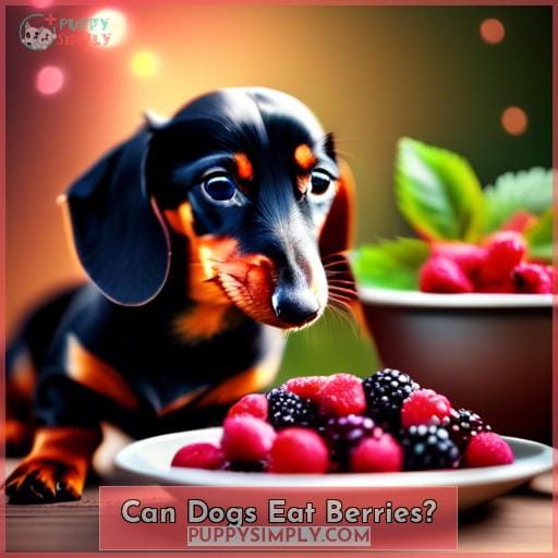 Can Dogs Eat Berries