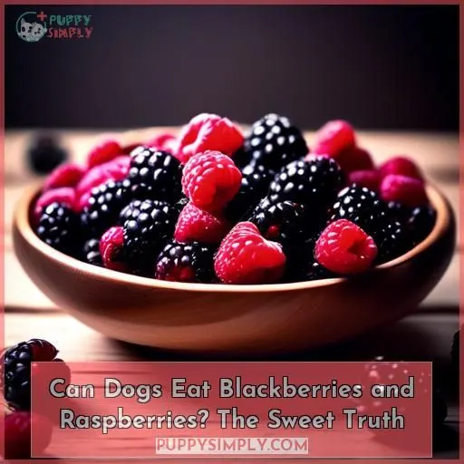 can dogs eat blackberries and raspberries