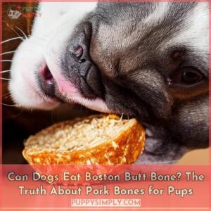 can dogs eat boston butt bone