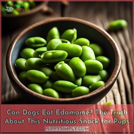 can dogs eat edamame beans