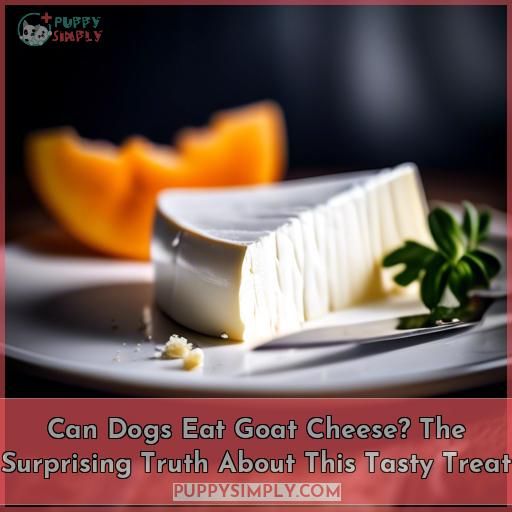 can dogs eat goat cheese
