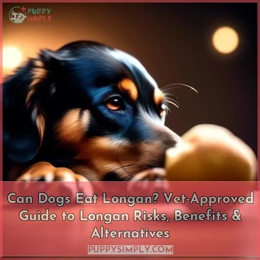 can dogs eat longan