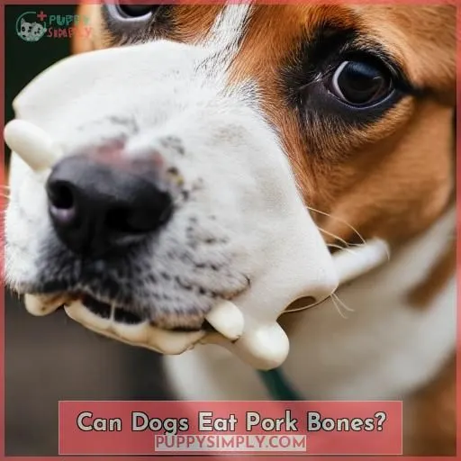 Can Dogs Eat Pork Bones