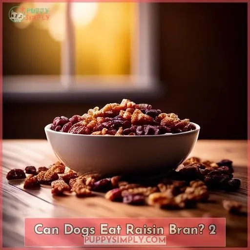 Can Dogs Eat Raisin Bran 2