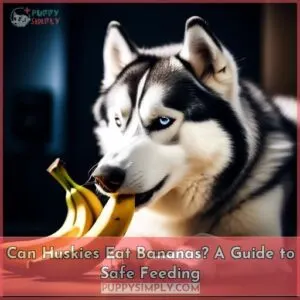 can huskies eat bananas